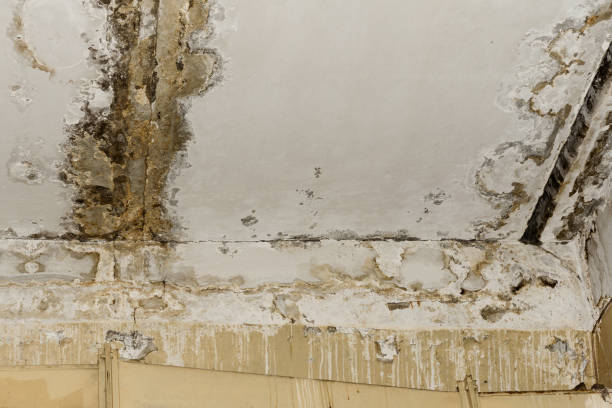 Best Water damage restoration cost  in USA